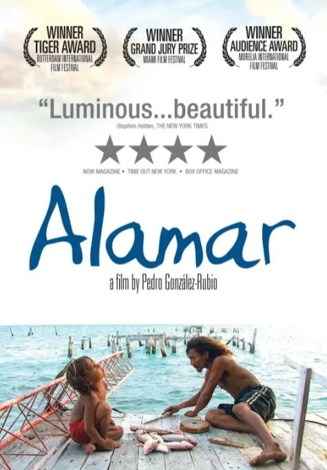 拥抱大海：一场惊心动魄的海洋冒险与心灵觉醒之旅